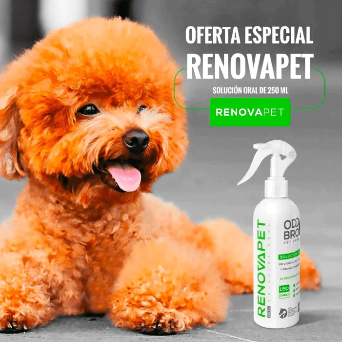 Renovapet Oral